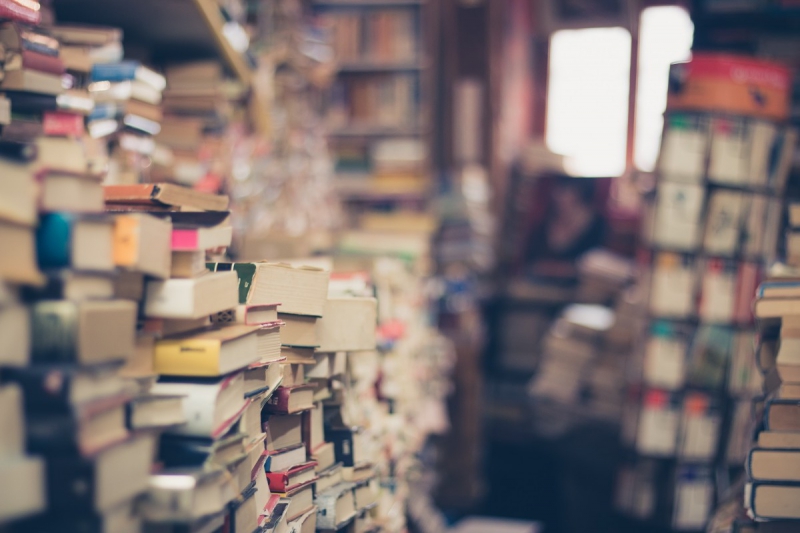 vitrine-MONS-min_books_stack_book_store_stack_of_books_2nd_hand_retro_hipster_shop-829090